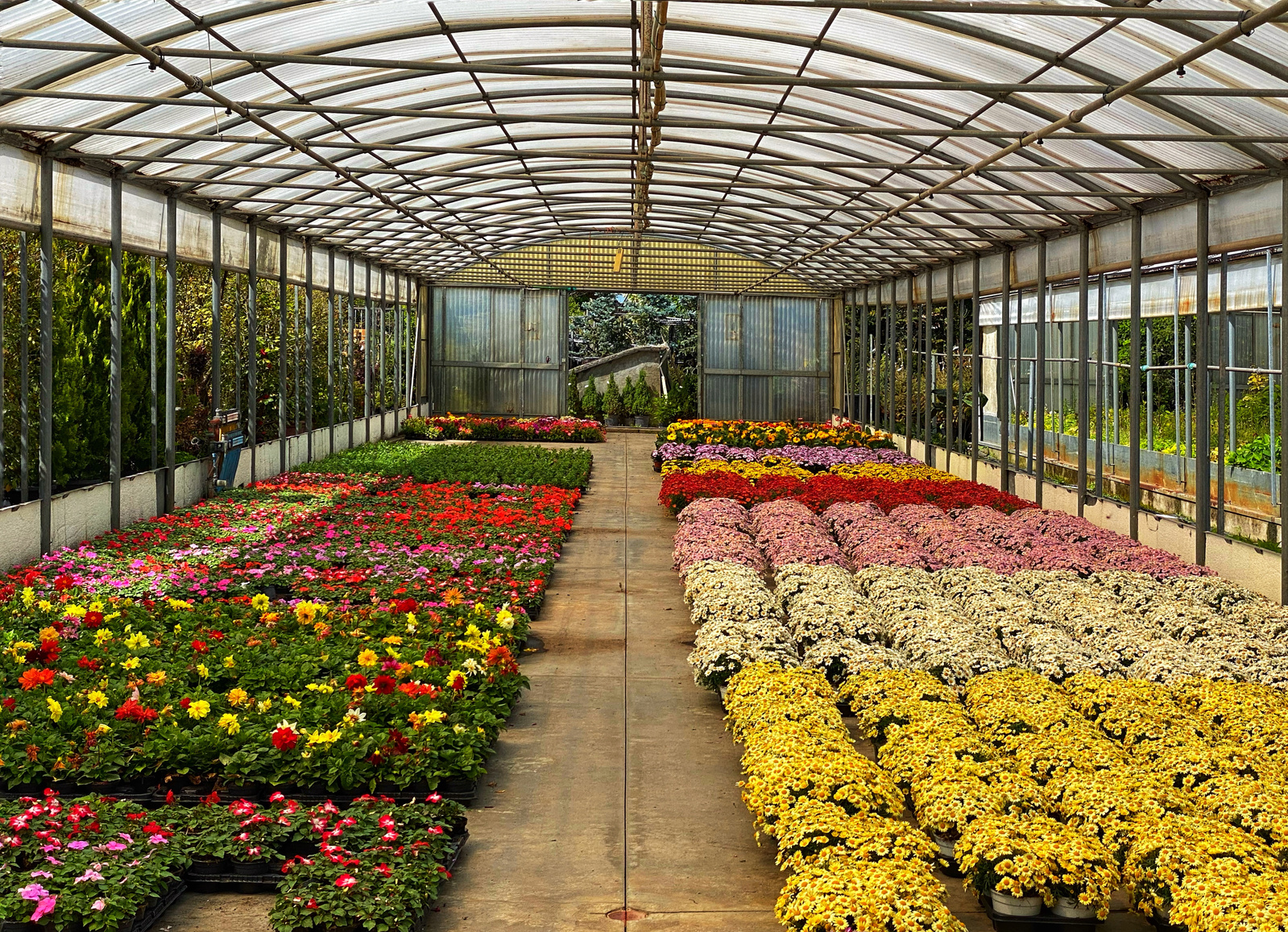 plant nursery